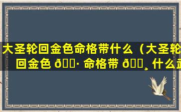 大圣轮回金色命格带什么（大圣轮回金色 🕷 命格带 🌸 什么武器）